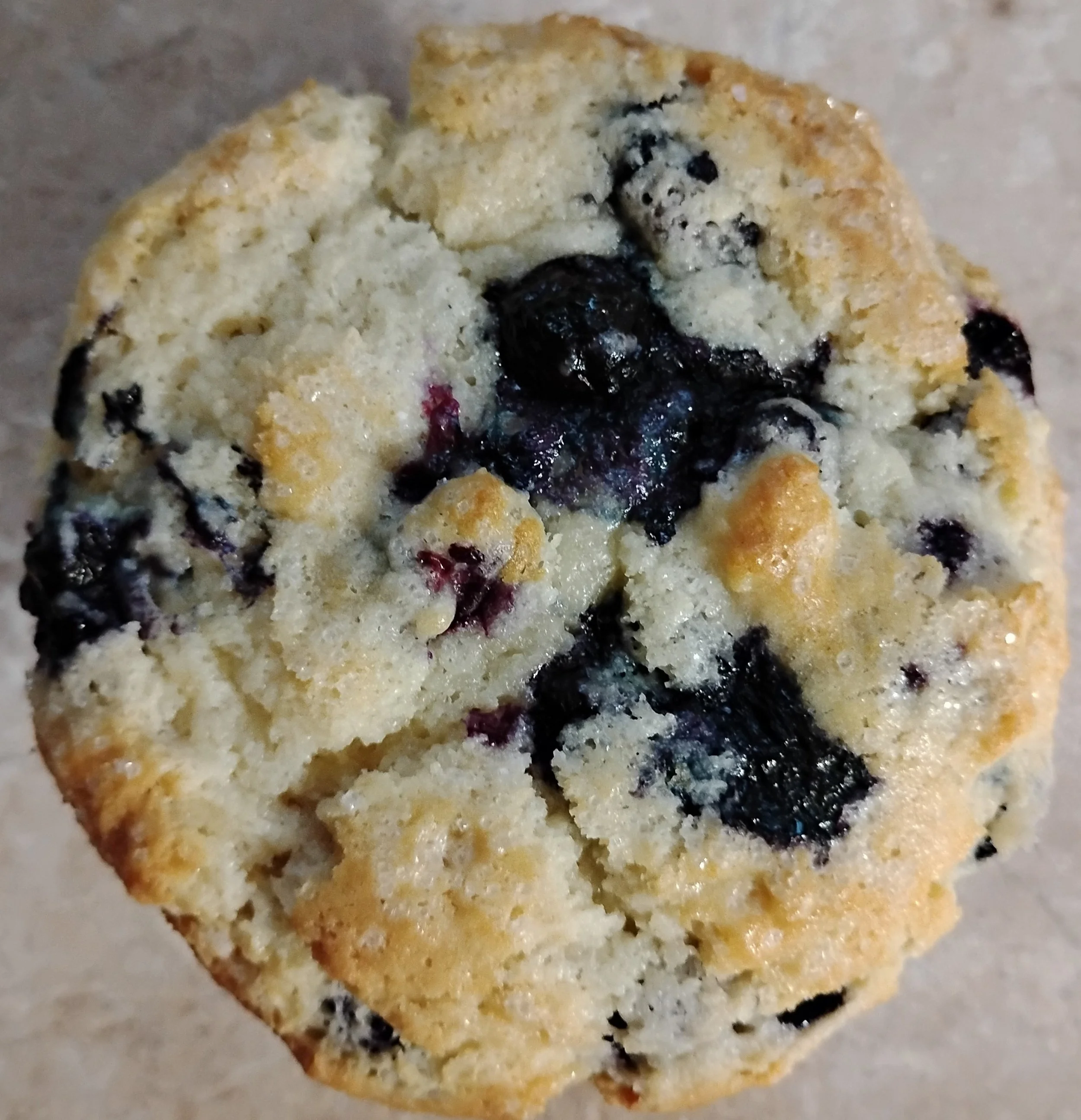 Blueberry Muffins