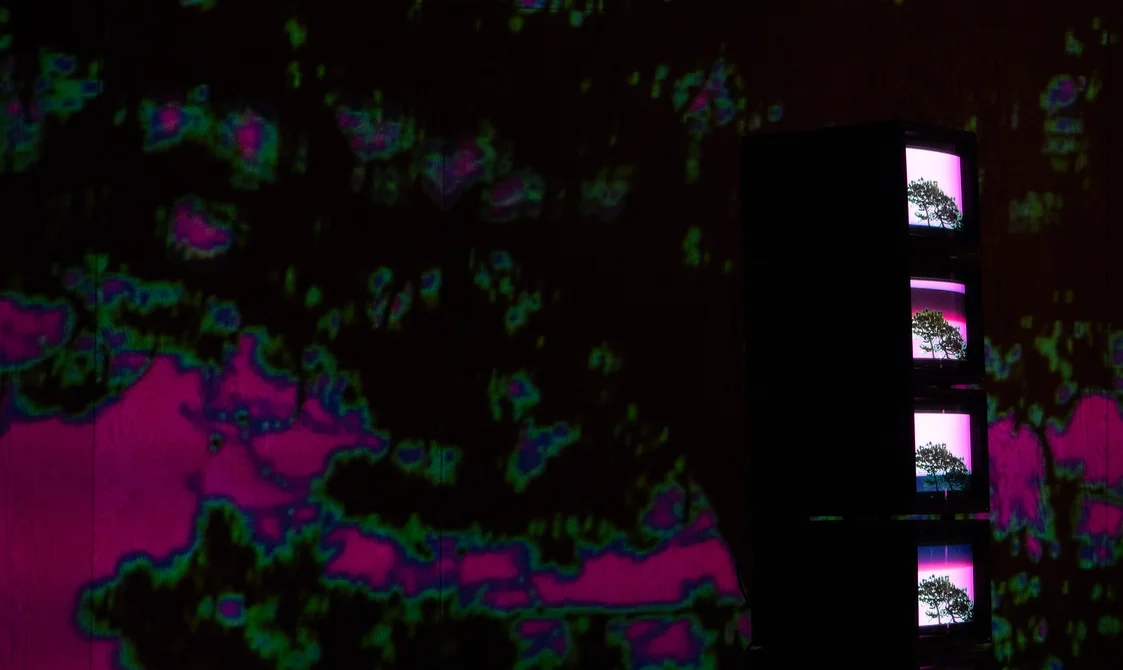 Lotte Betts-Dean: Voice Electric, Festival of New © Martha Treves / Britten Pears Arts