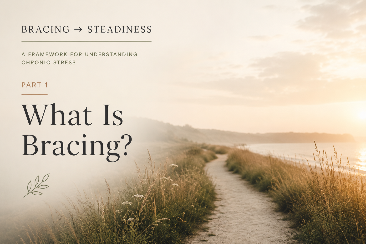 What Is Bracing?