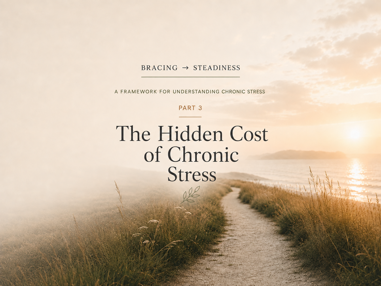 The Hidden Cost of Chronic Stress