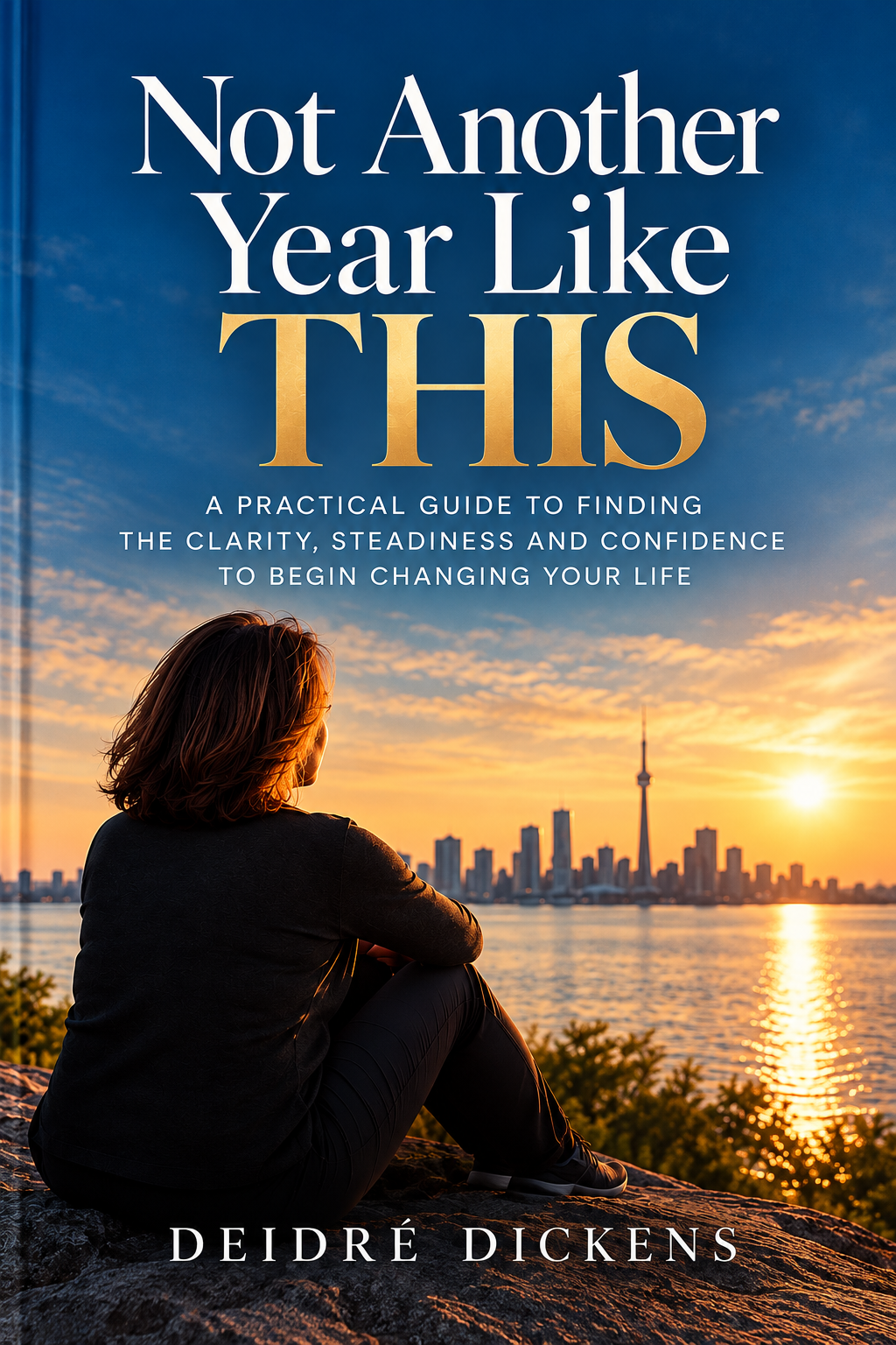 Not Another Year Like This book cover.png