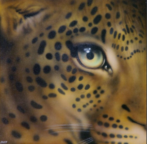Eye of Leopard I