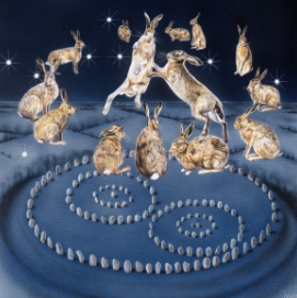 Aquarius Hare ~20th Jan-18th Feb