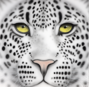 Snow Leopard