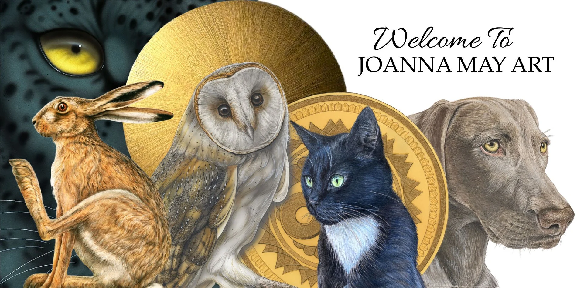 Collection of realistic animal illustrations including a rabbit, an owl, a black and white cat, a dog, and a stylized owl, with a decorative gold background and text that reads 'Welcome To JOANNA MAY ART'.