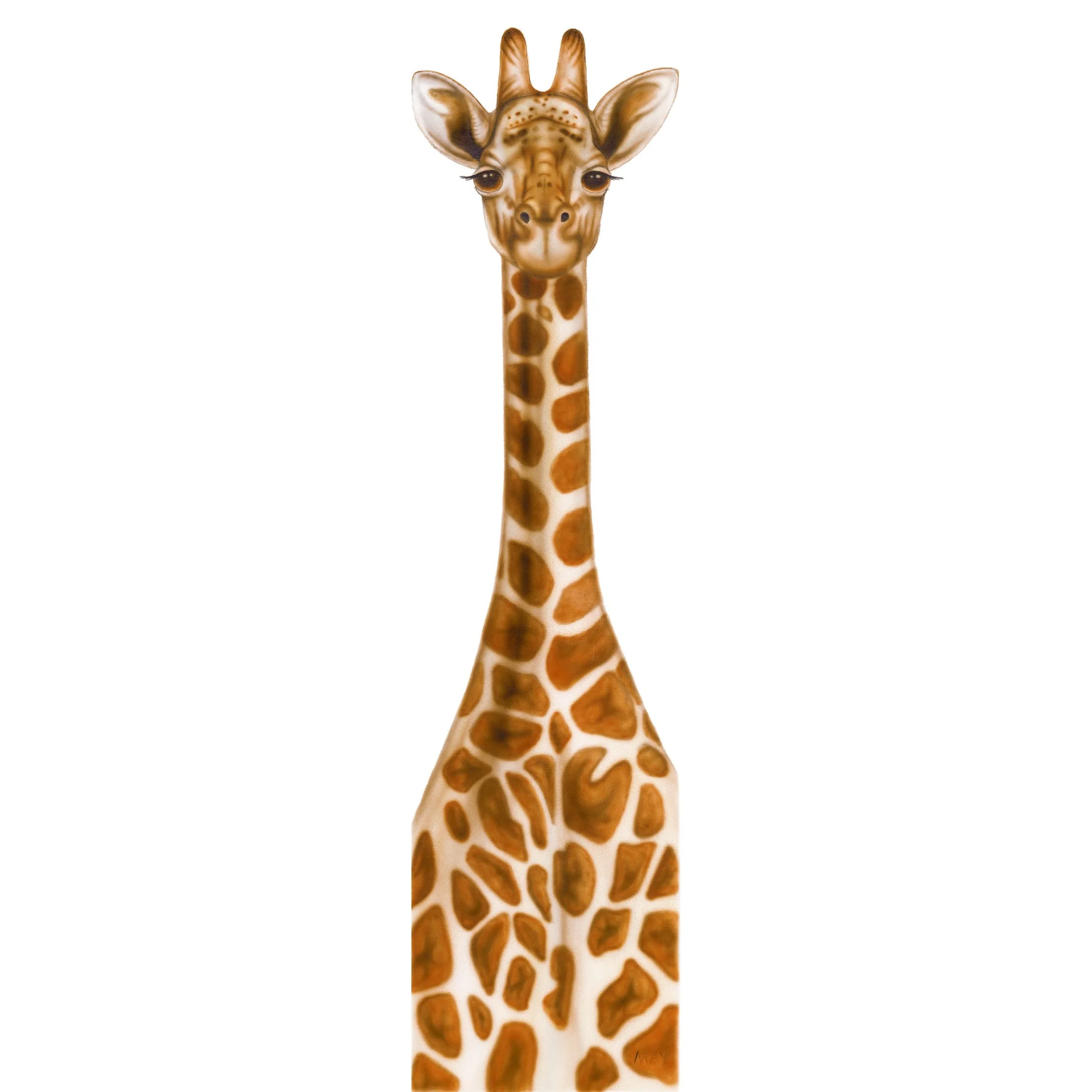Giraffe.jpg