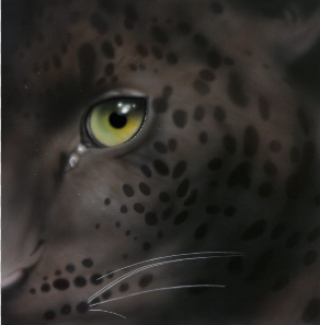 Eye of Black Leopard I