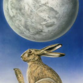 The Hare in the Moon