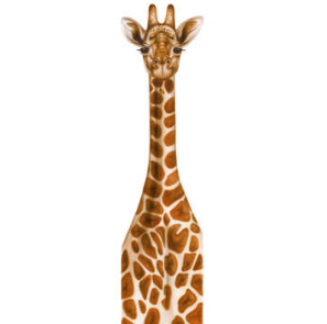 Totem Pole Baby Giraffe
