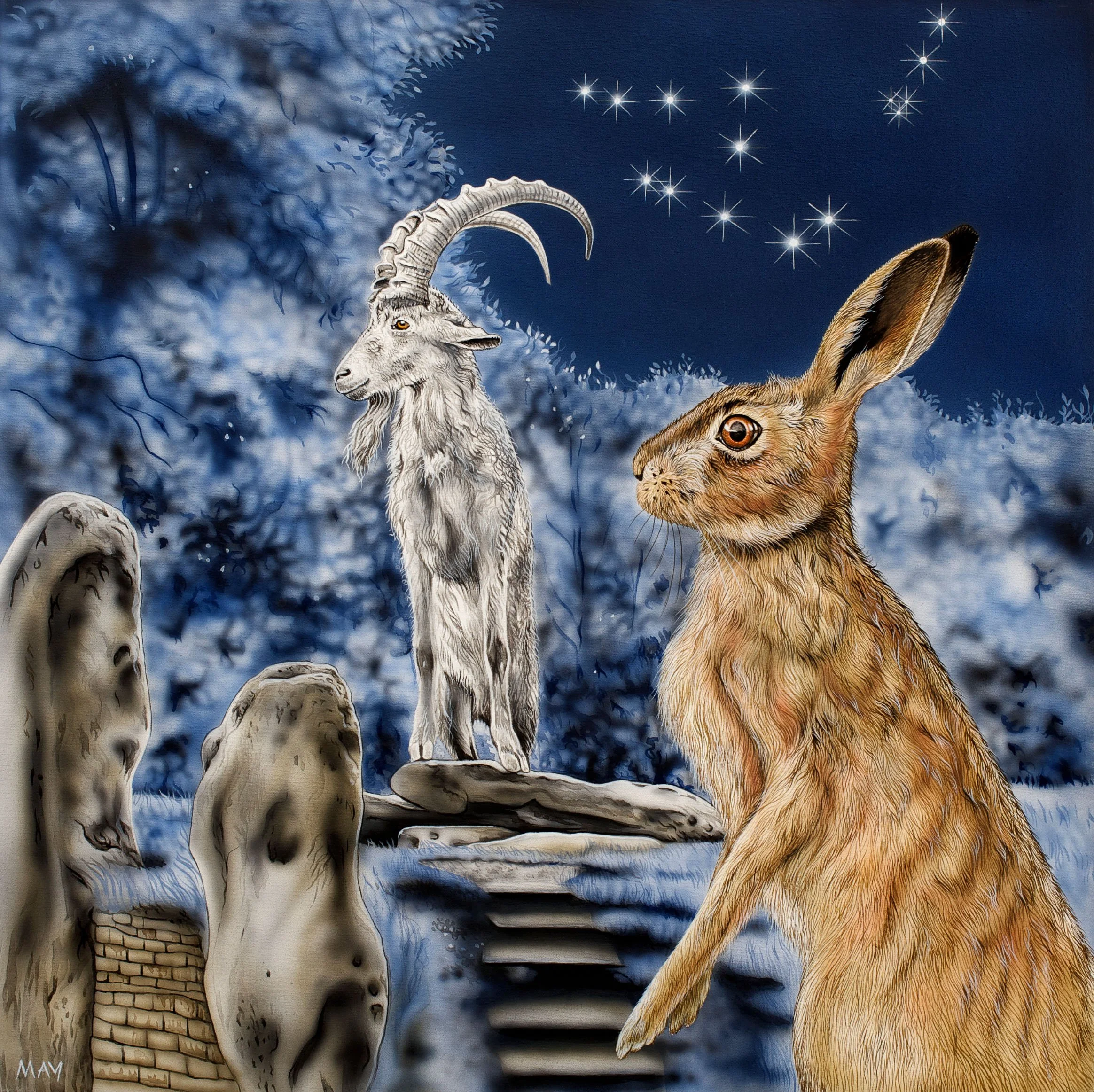Capricorn Hare ~22nd Dec-19th Jan