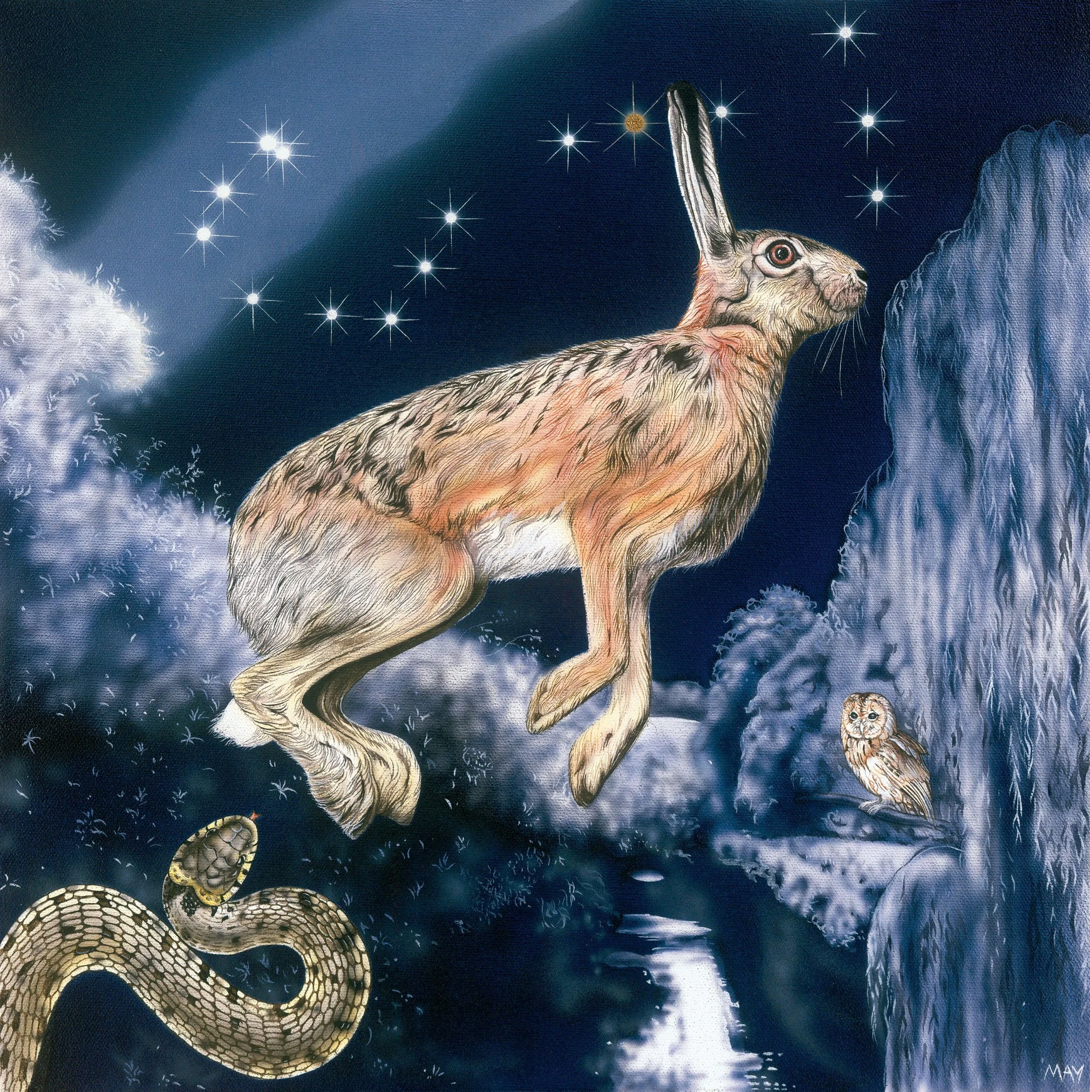 Scorpio Hare~ 23rd Oct-21st Nov