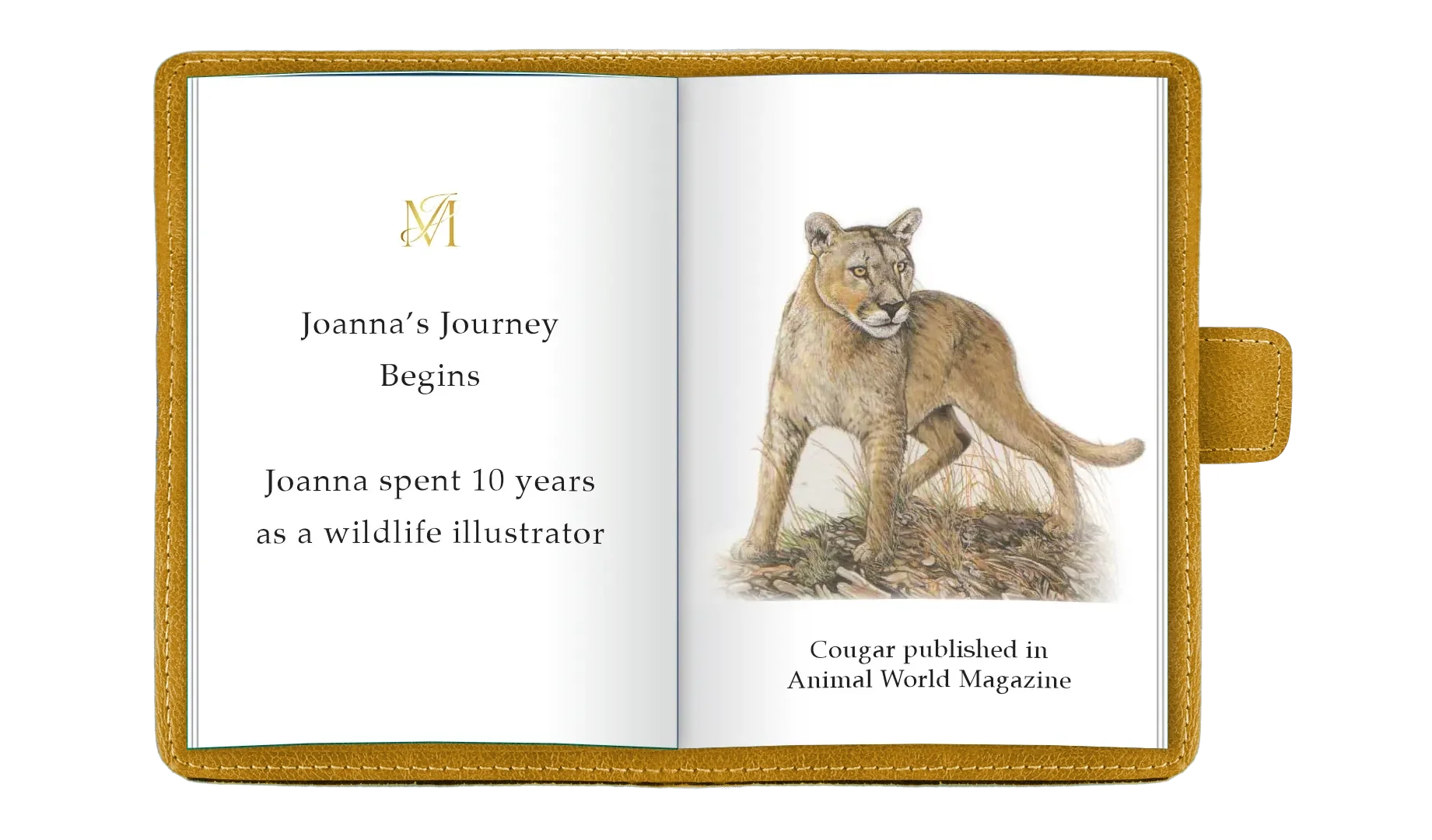 Open notebook with a page showing text about Joanna's journey as a wildlife illustrator and a drawing of a cougar on the right page, published in Animal World Magazine, with a leather-like cover.