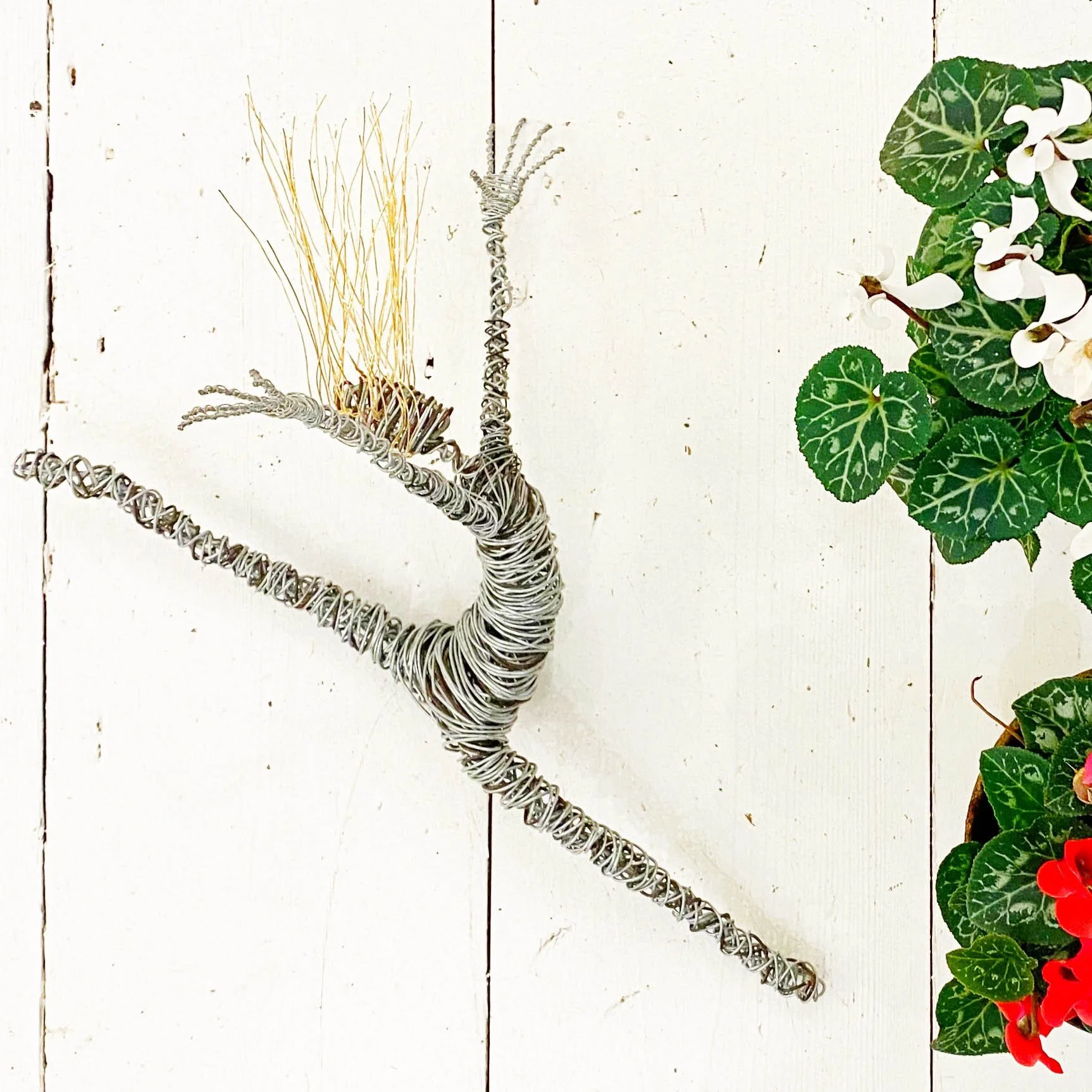 Rachel Ducker - Legs Outstretched