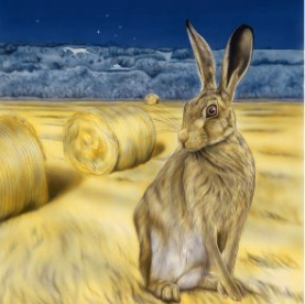 Broadtown Hare