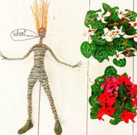 Rachel Ducker - What?