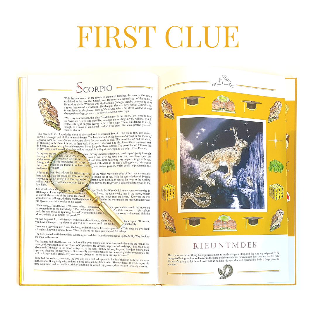 An open book with the title "FIRST CLUE" and a colorful illustration of a rabbit, a starry night scene, and a snake, along with various decorations including owl illustrations, a schoolhouse, and graduation caps, on yellow and white background.