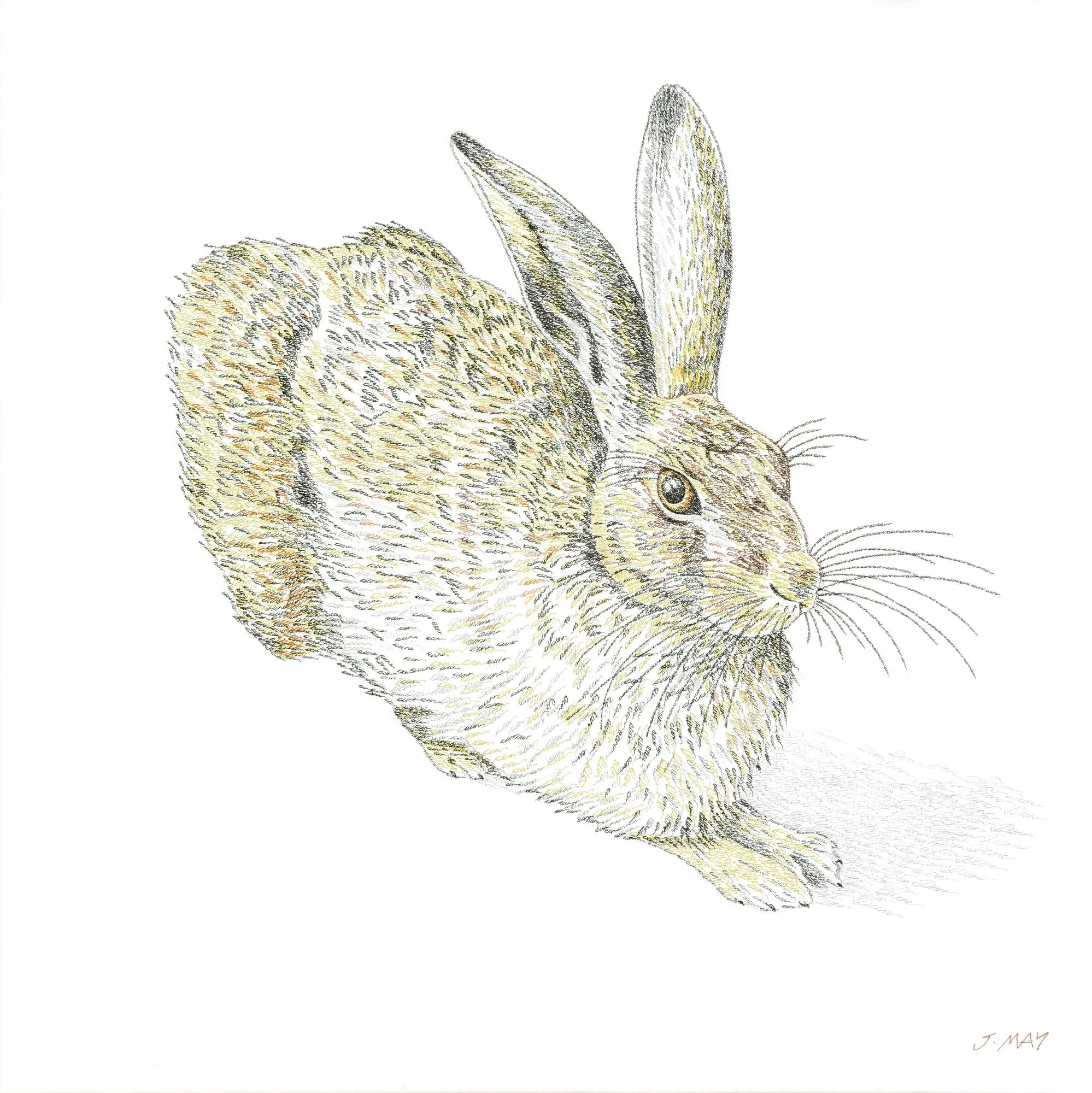 Durer-Hare-for-website.jpg