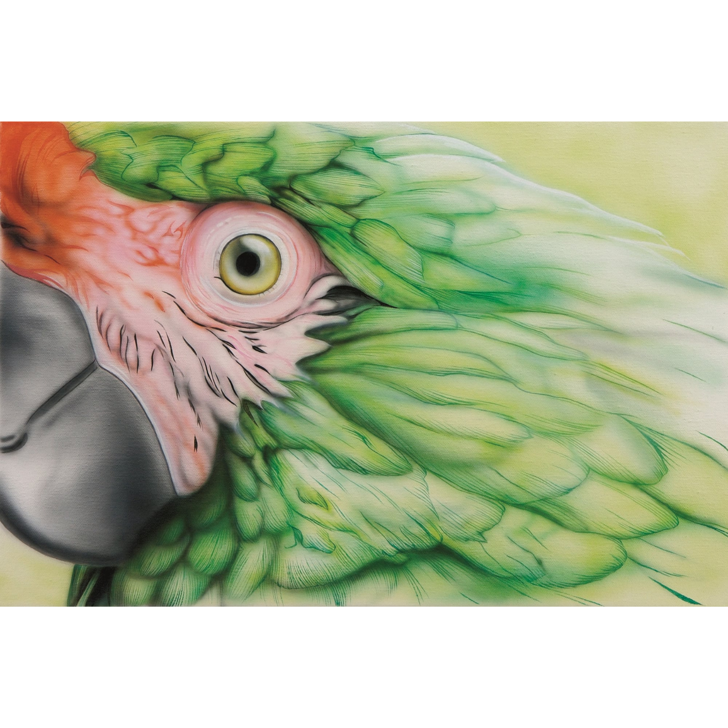 Untitled design (1).png