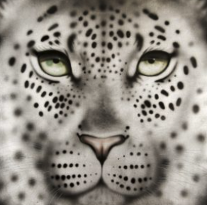 Silver Leaf Leopard