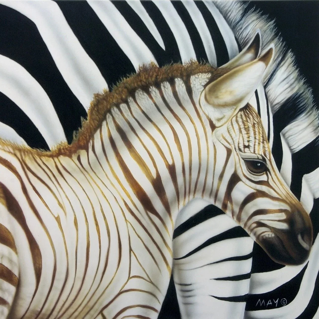 Zee and Little Zee II