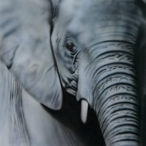 Blue Grey Elephant