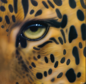 Eye of Leopard II