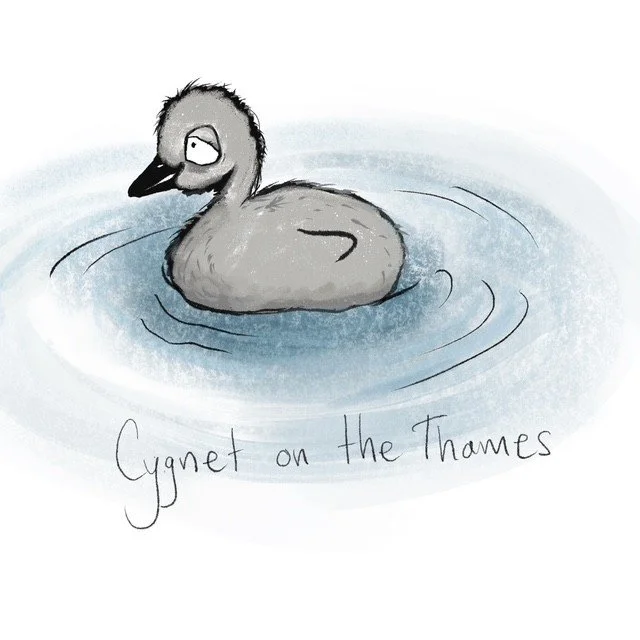 Cygnet.jpg
