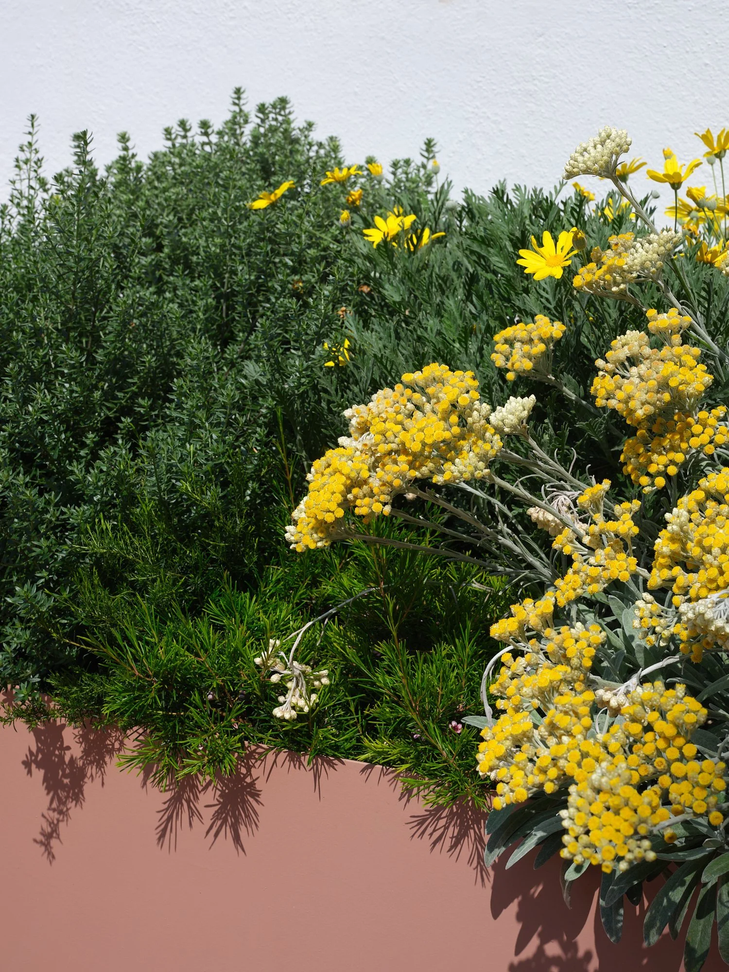 STUDIOTOPIC_GRADEGRACIA 7.jpg