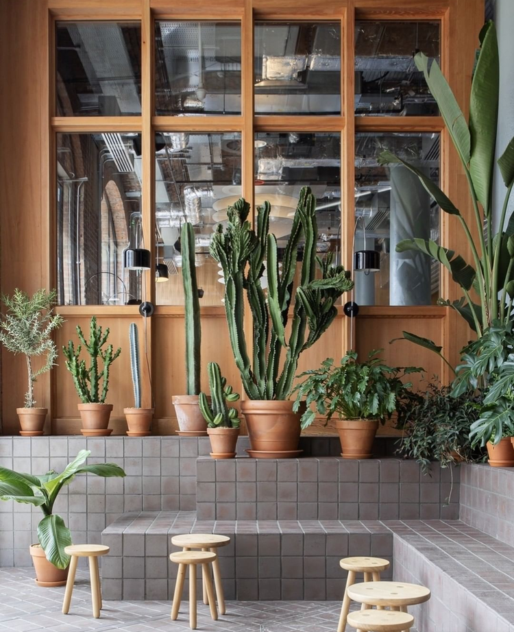 STUDIOTOPIC_CULTUREPLEX 1.png