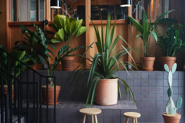 STUDIOTOPIC_CLTUREPLEX 3.jpg