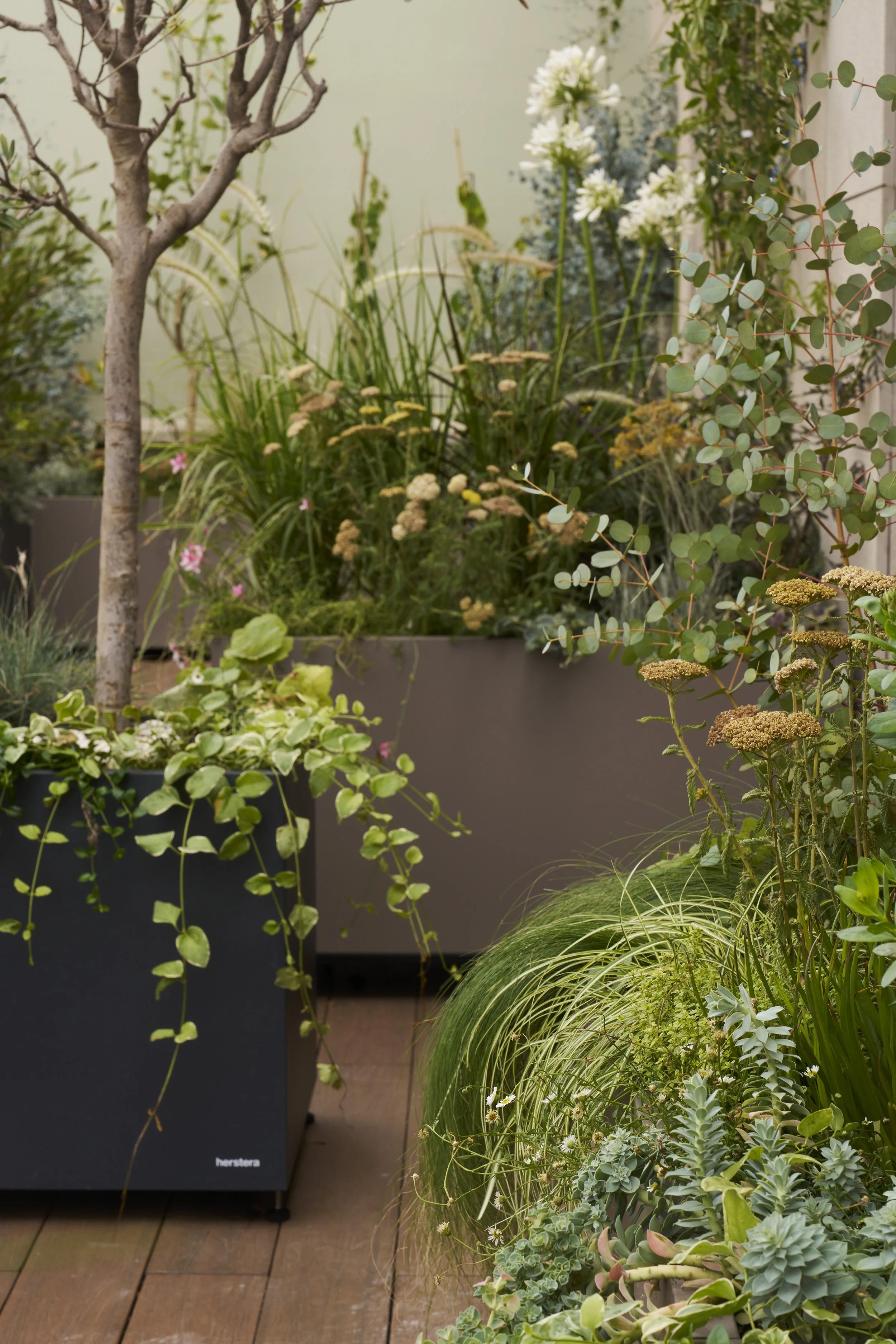 5.studio_topic copy.jpg