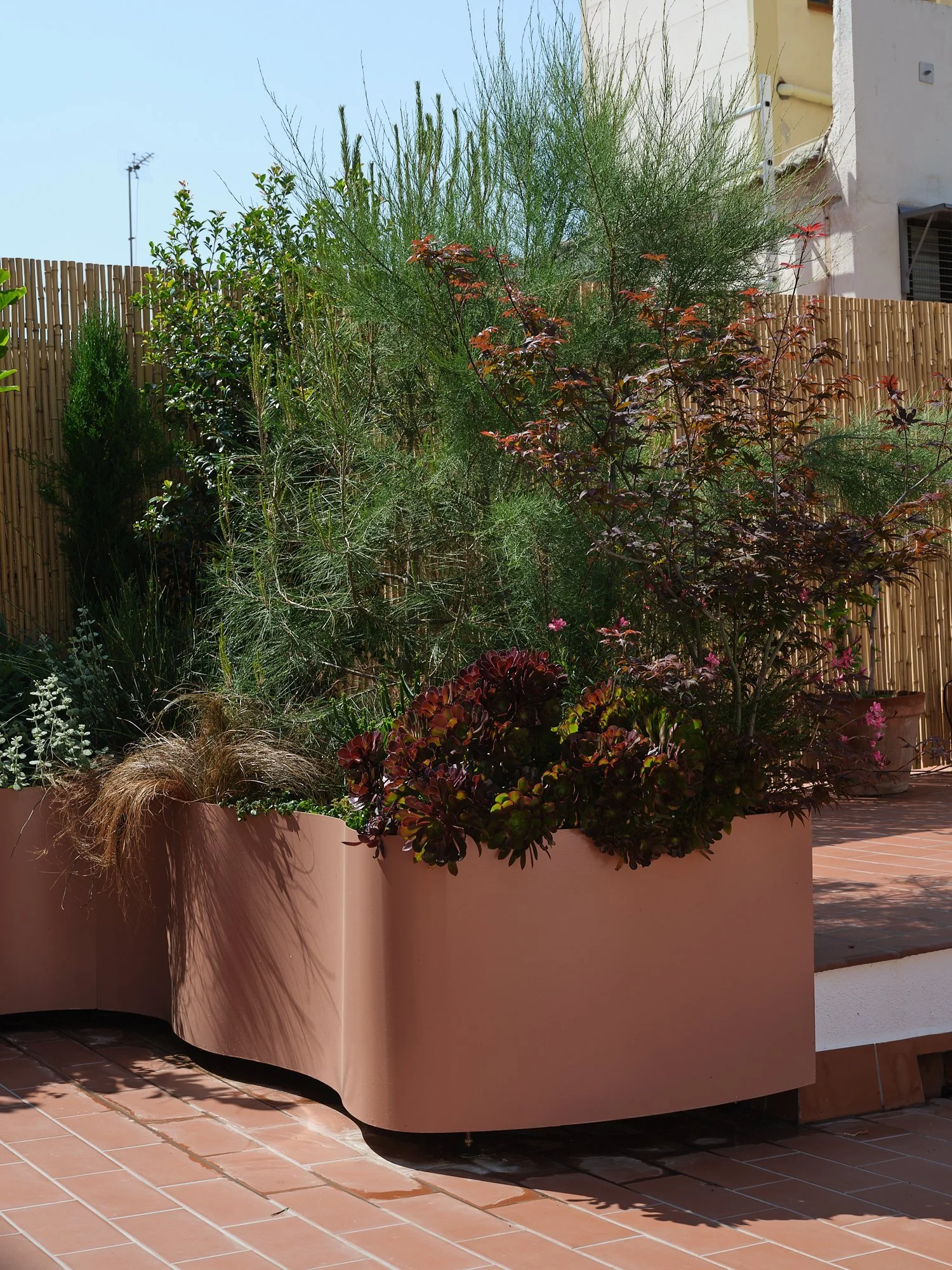 2.STUDIOTOPIC_GRANDEGRACIA 1.jpg