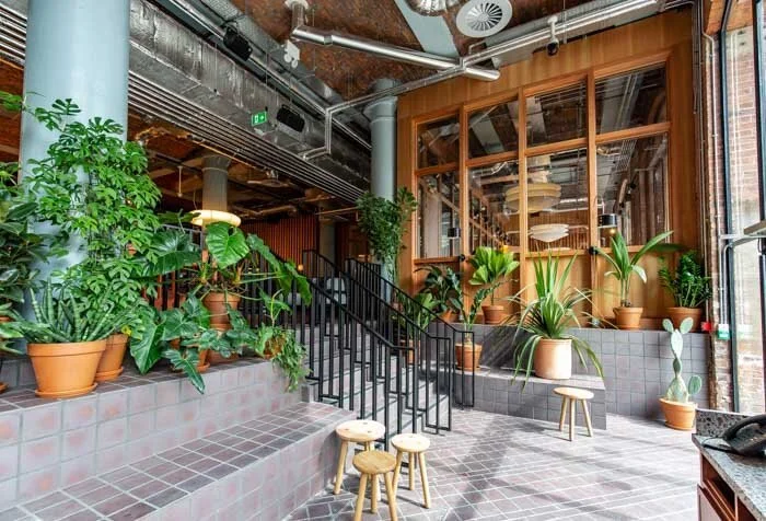 STUDIOTOPIC_CULTUREPLEX 4.jpg