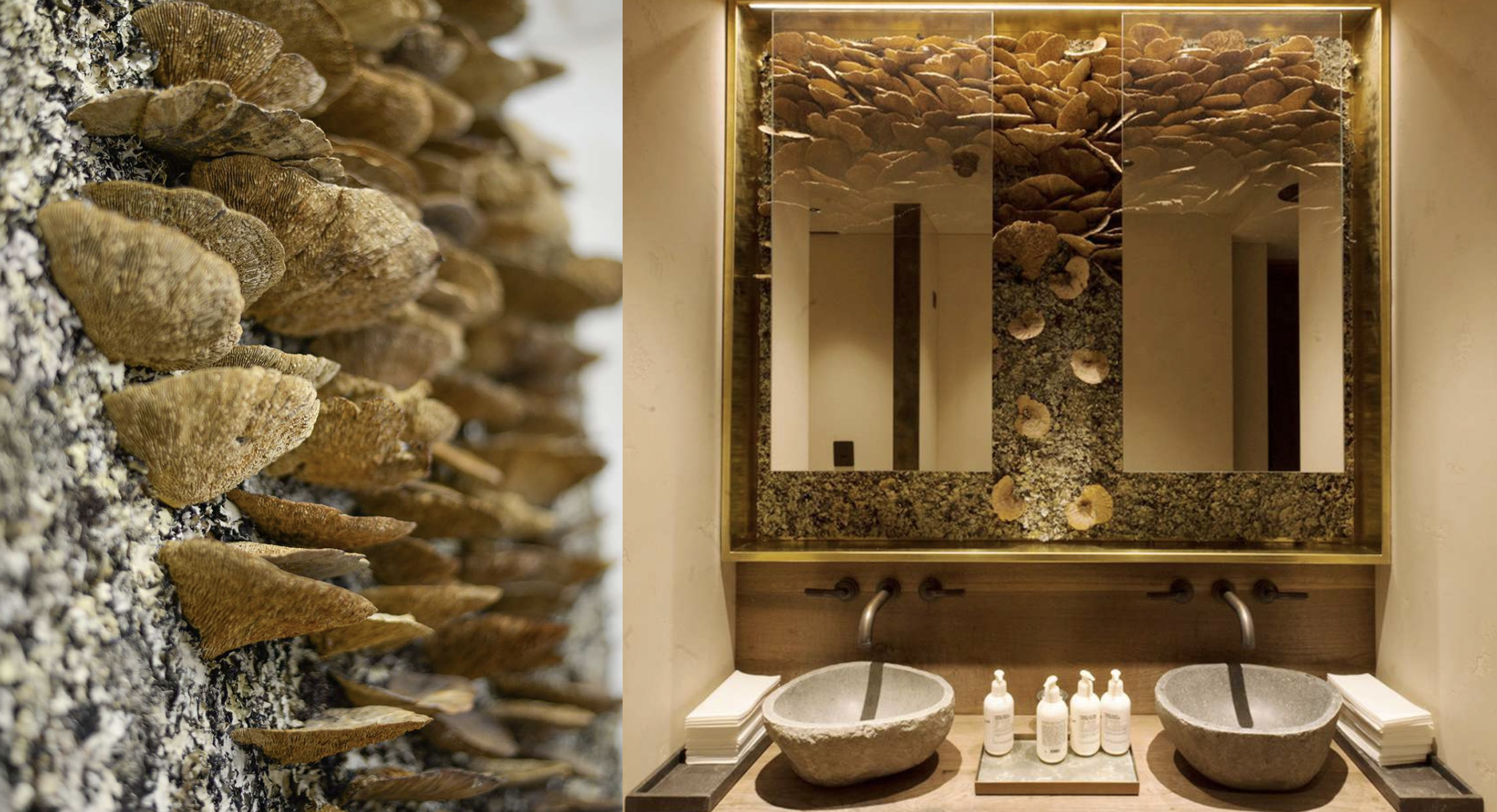 Captura de pantalla 2026-02-25 a las 11.35.06.png