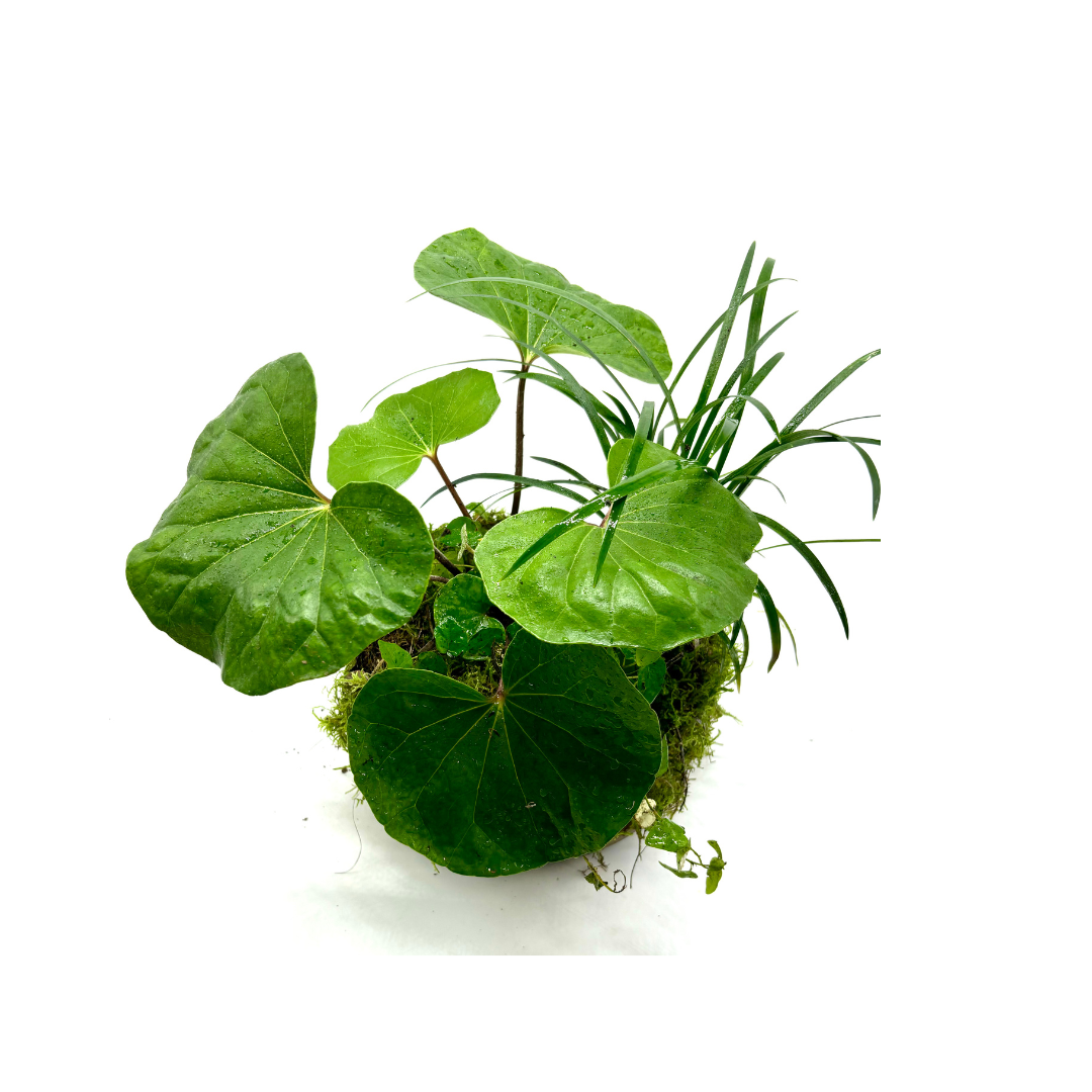 Your paragraph text.zip - 3.png