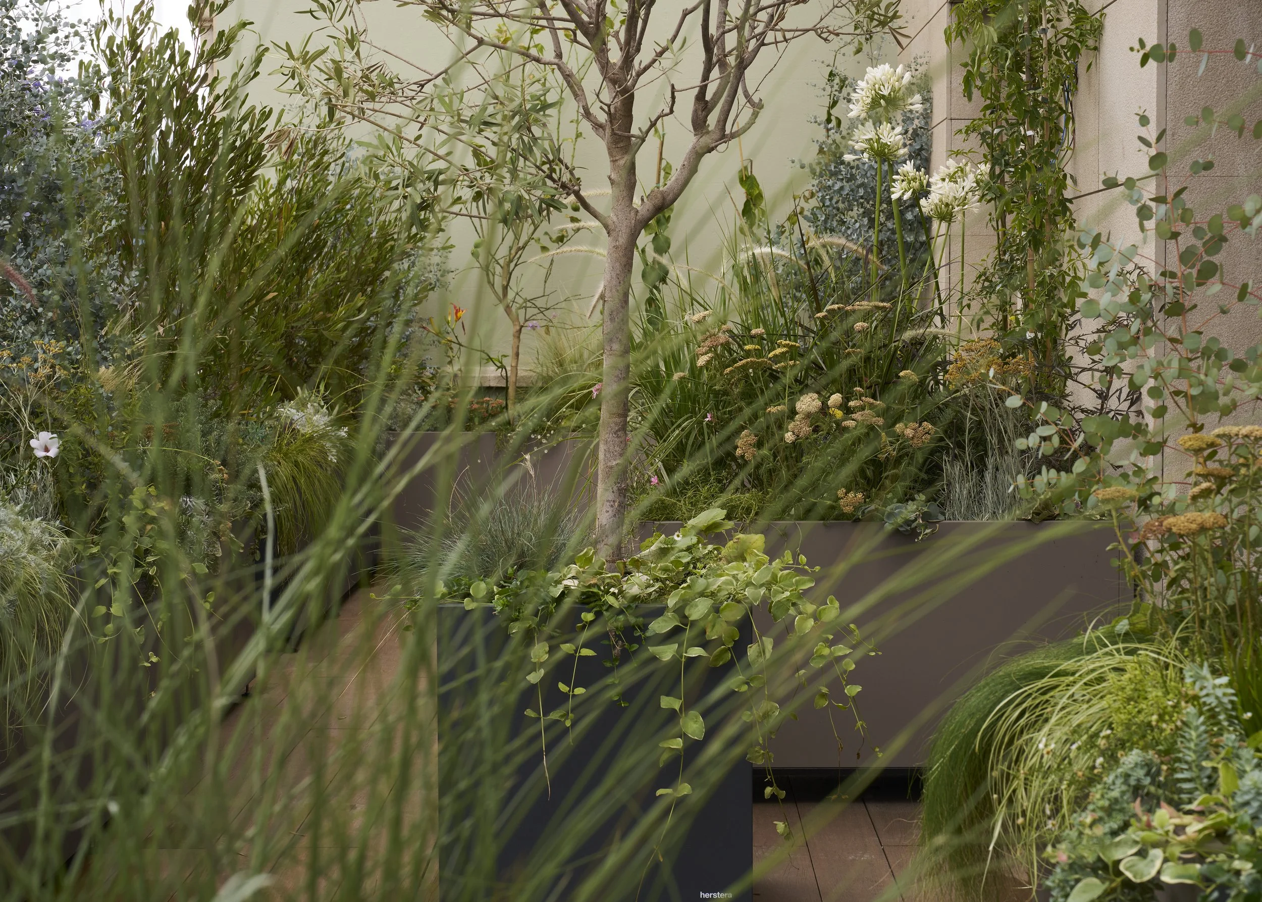 2.studio_topic copy.jpg