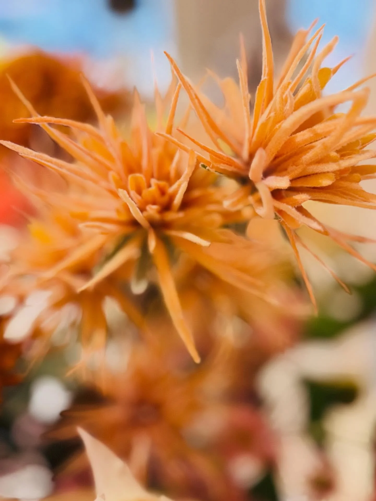 Kunstblumen sind immer h&auml;sslich&hellip;.Stimmt NICHT ‼️

#studioNL#dekoliebe #morgenwiederf&uuml;reuchda #