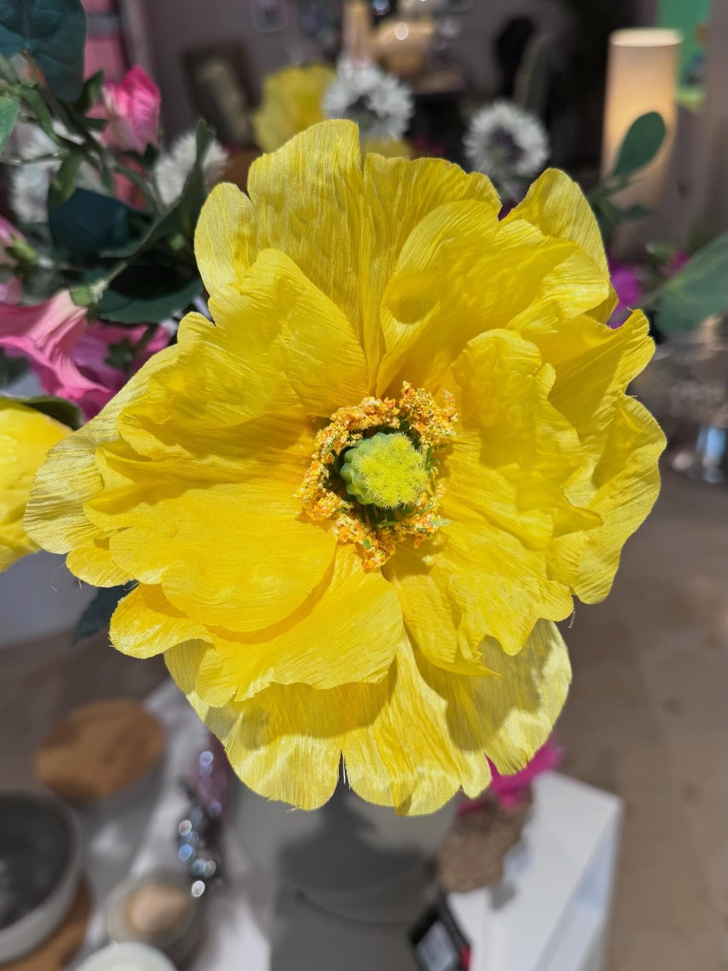 Hereingehoppelt&hellip;

#ostern #studionl #hkliving #vechtacity