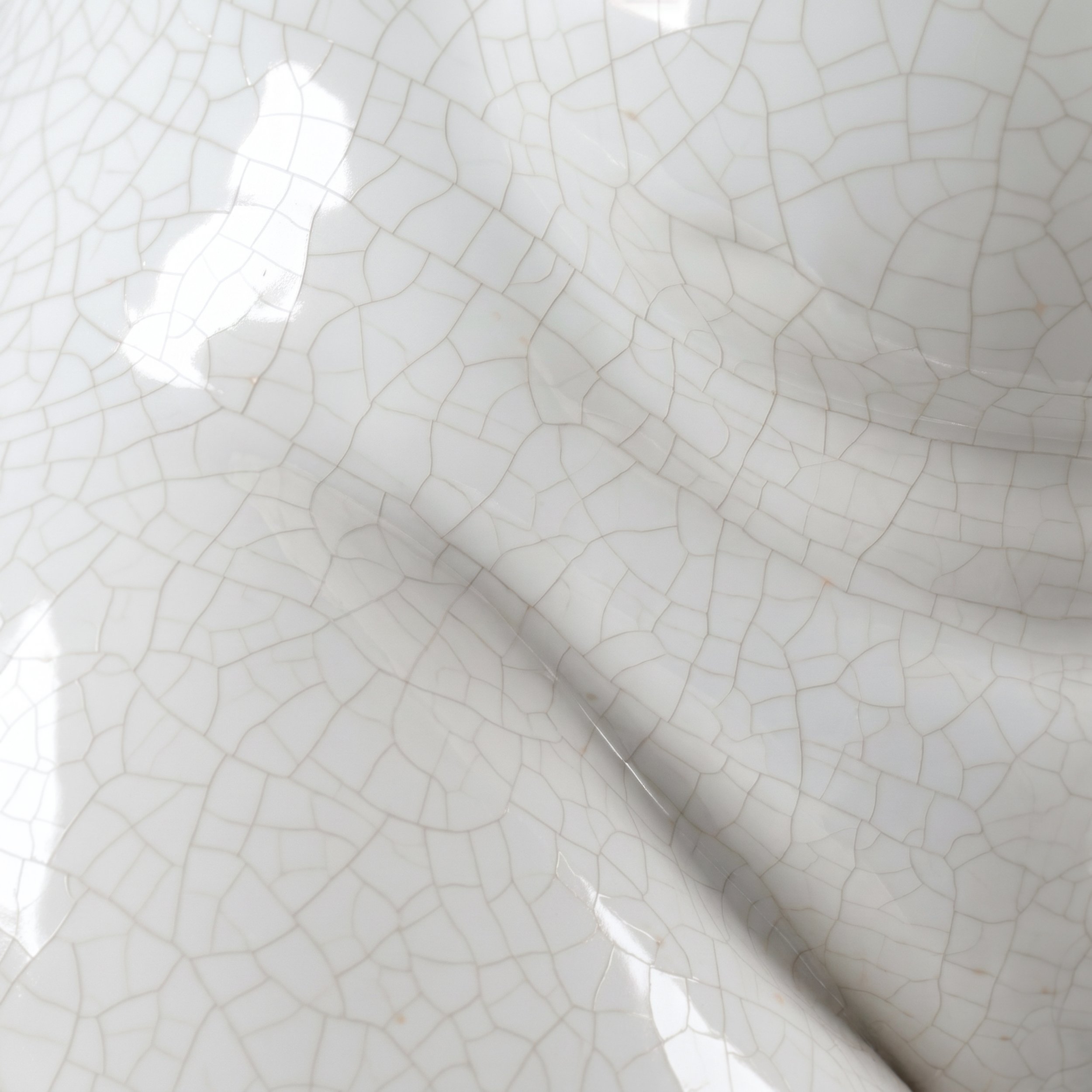 Picture from the series: Porcelain Body by Jakob Maria Wagner.