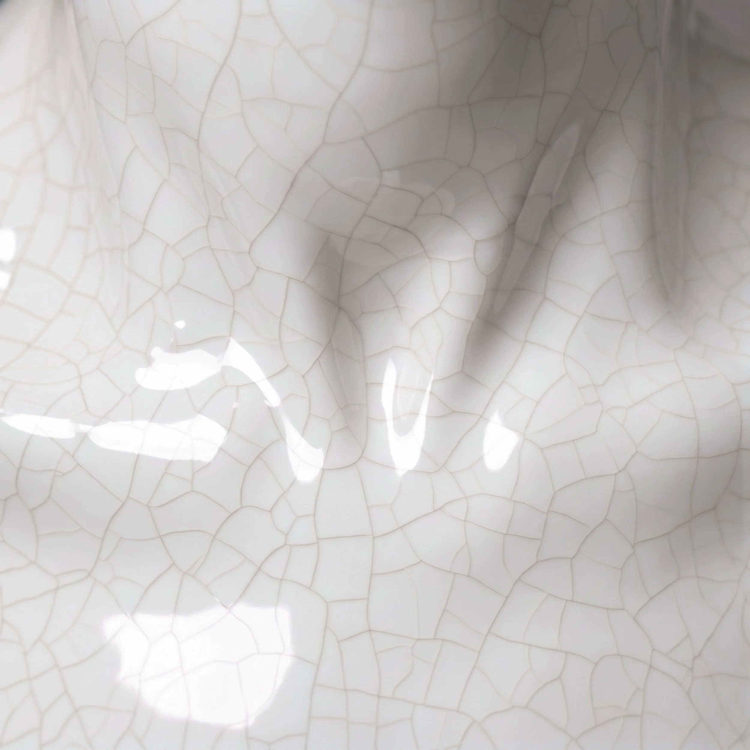 Picture from the series: Porcelain Body by Jakob Maria Wagner.