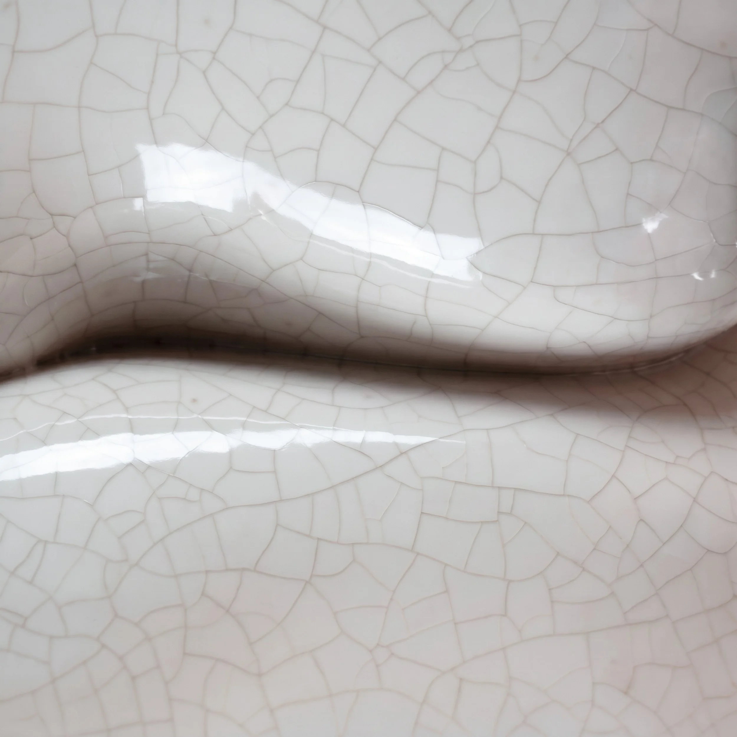 Picture from the series: Porcelain Body by Jakob Maria Wagner.