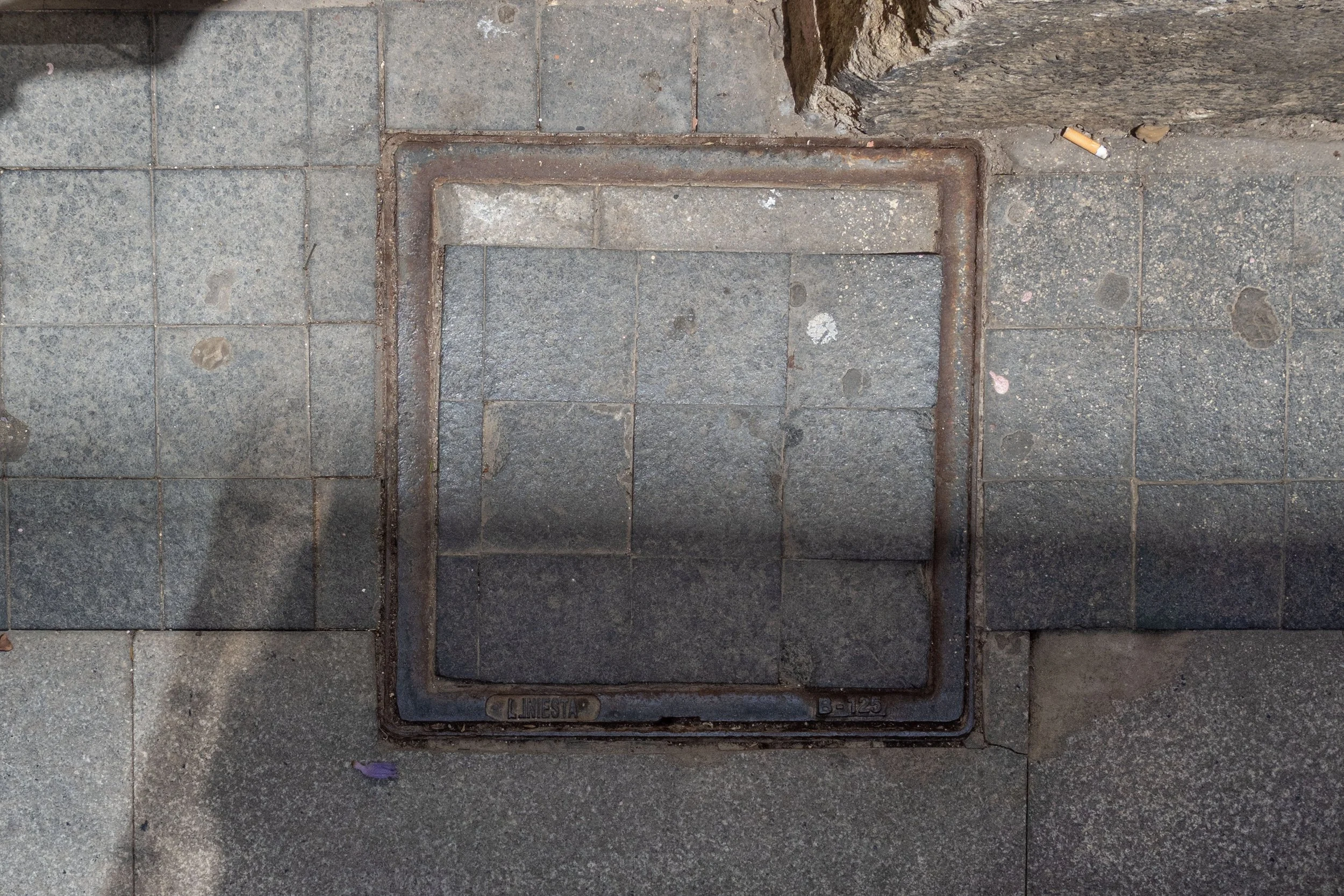 _DSC9680.jpg