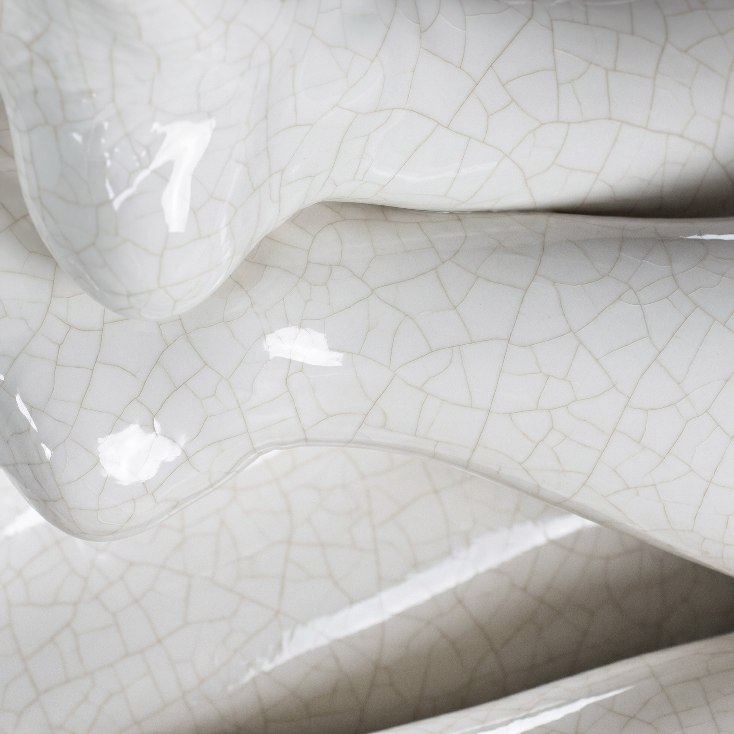 Picture from the series: Porcelain Body by Jakob Maria Wagner.