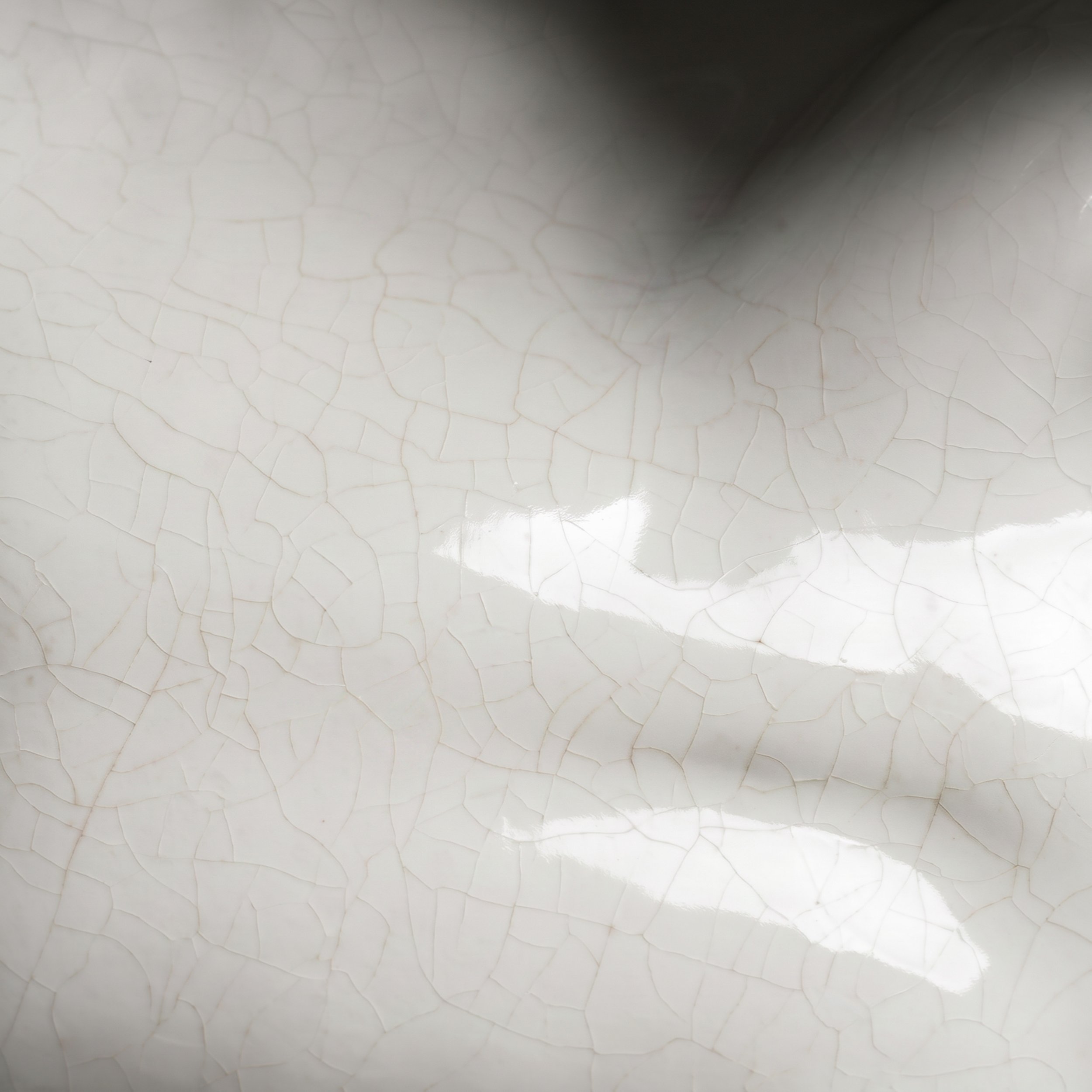 Picture from the series: Porcelain Body by Jakob Maria Wagner.