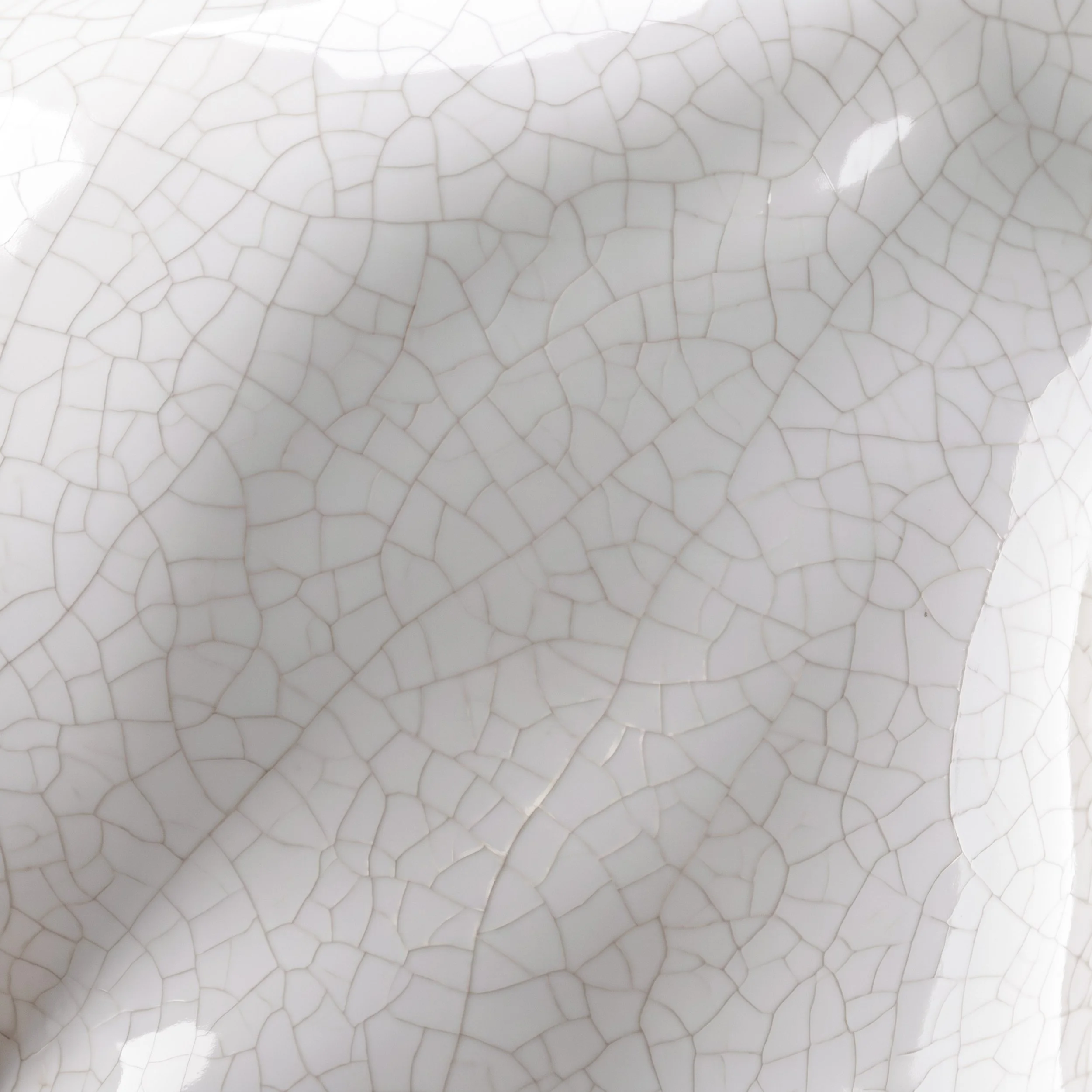 Picture from the series: Porcelain Body by Jakob Maria Wagner.