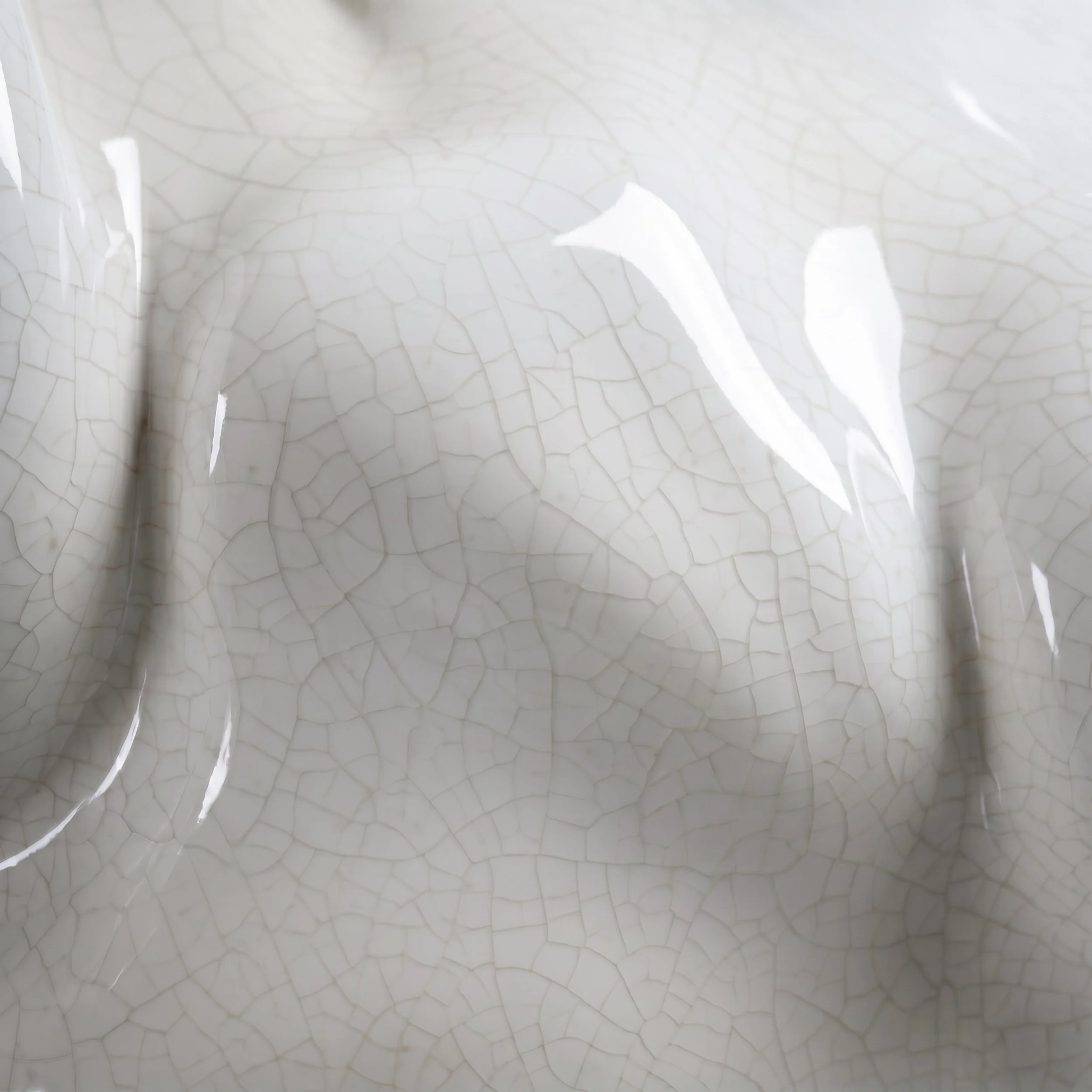 Picture from the series: Porcelain Body by Jakob Maria Wagner.