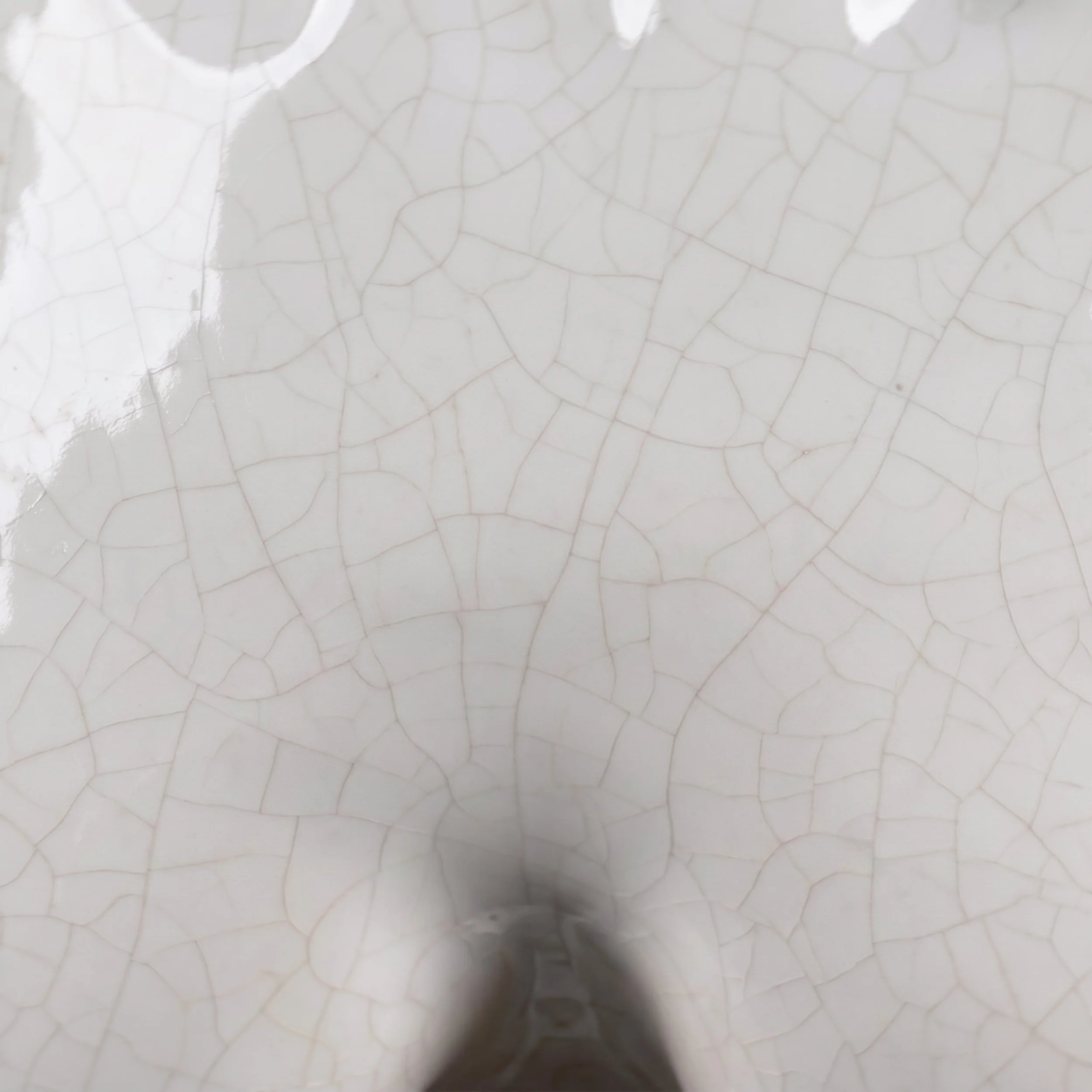 Picture from the series: Porcelain Body by Jakob Maria Wagner.
