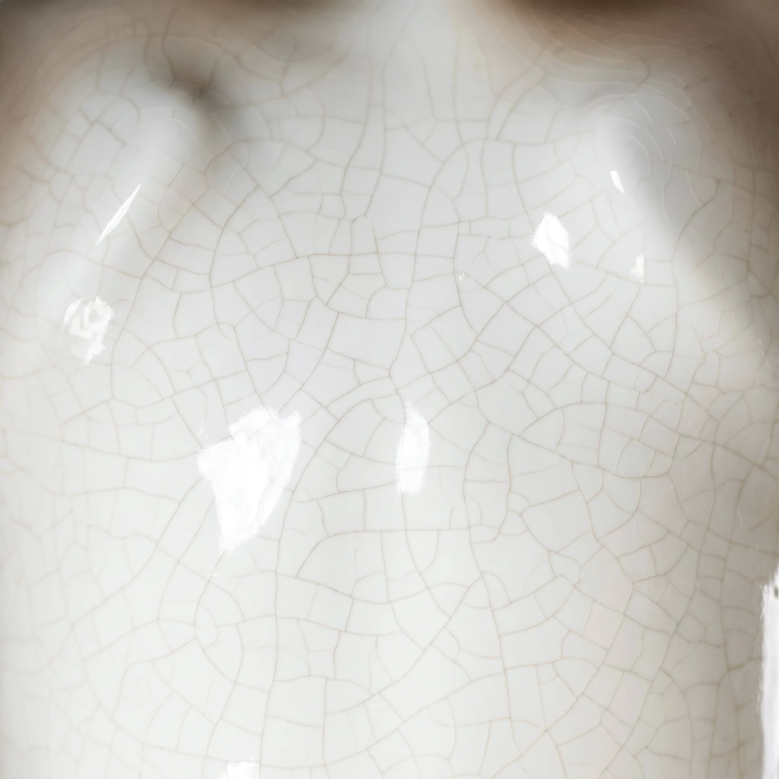 Picture from the series: Porcelain Body by Jakob Maria Wagner.