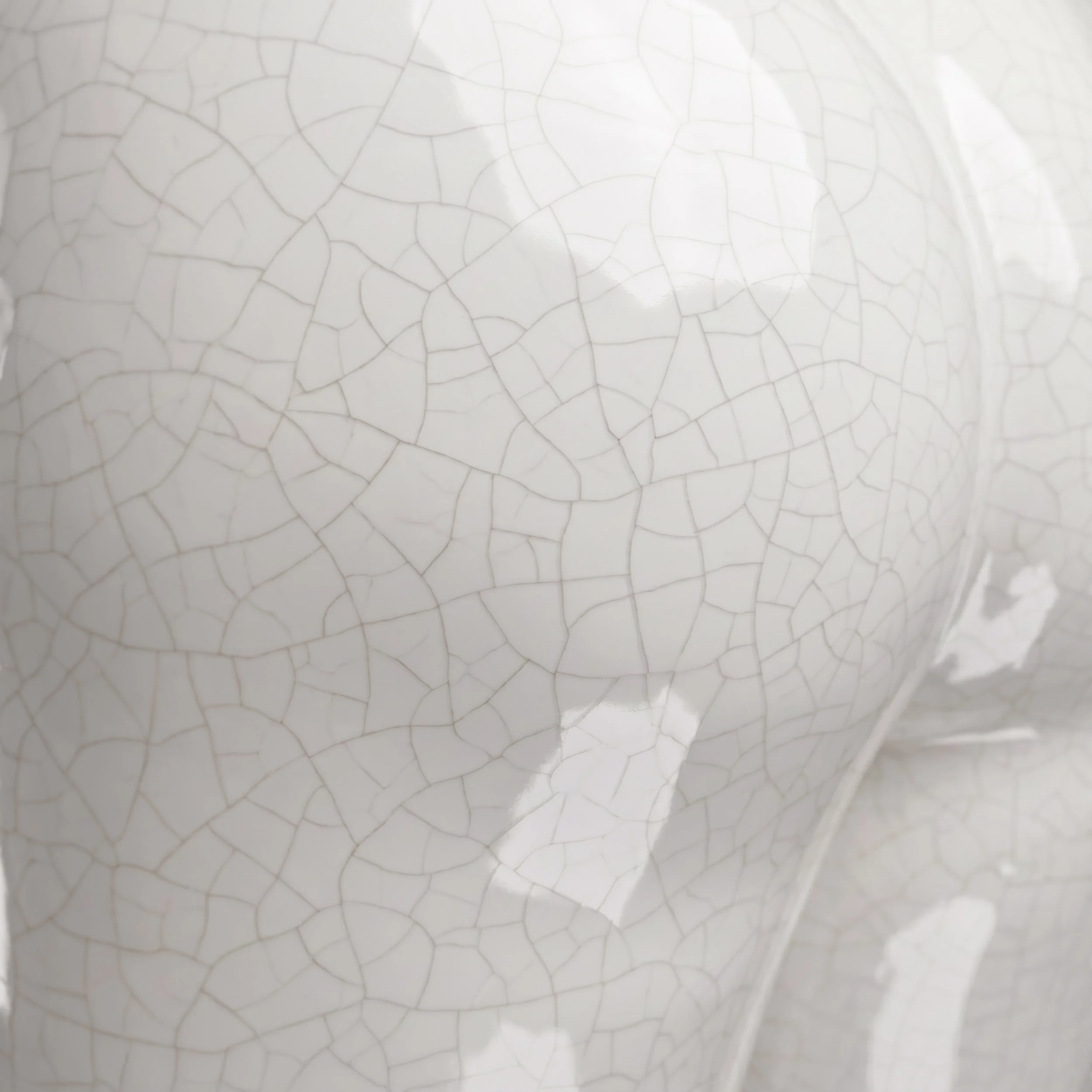 Picture from the series: Porcelain Body by Jakob Maria Wagner.