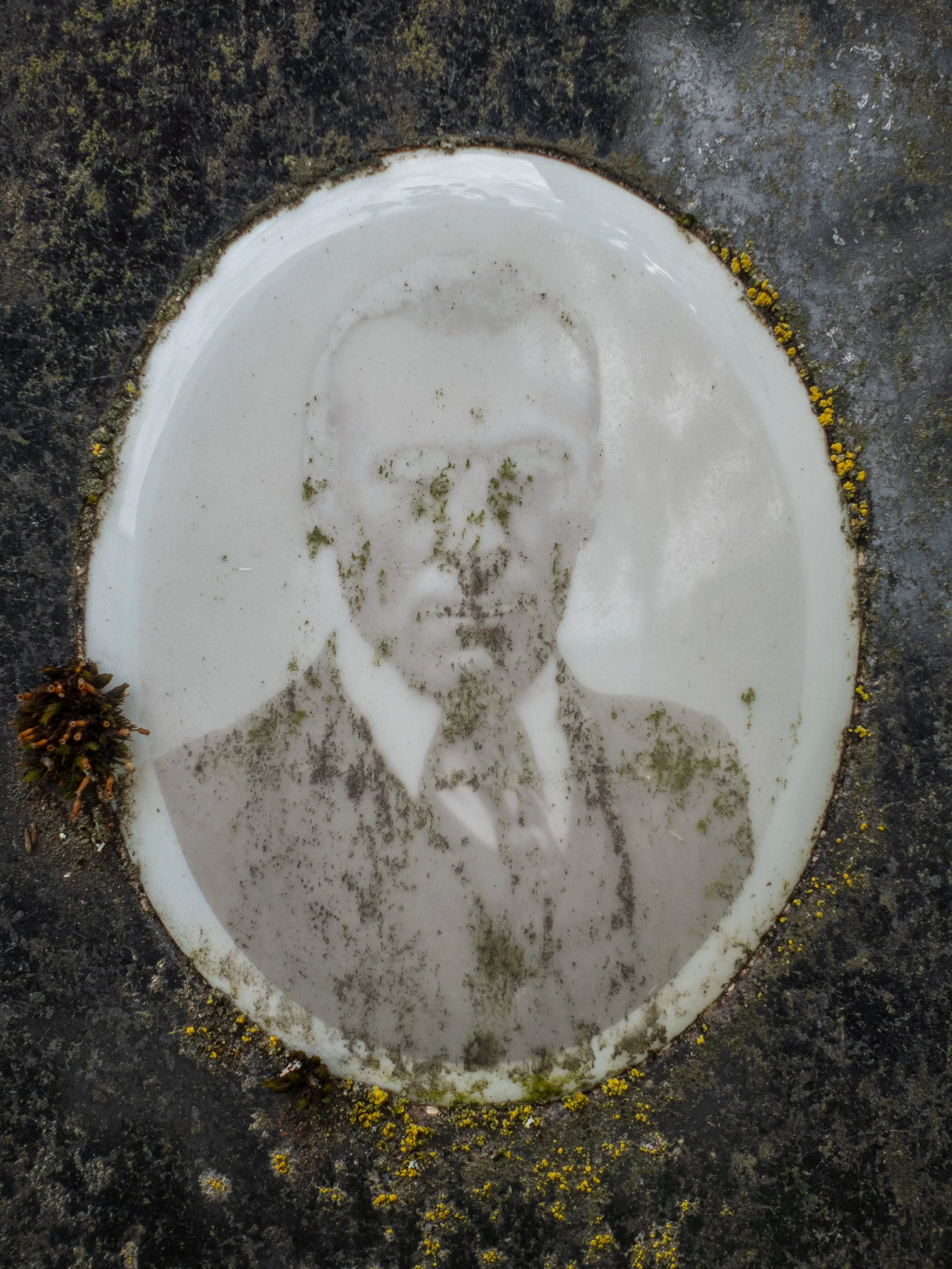Photo from the collection: Fading Memorial Portraits by Jakob Maria Wagner.